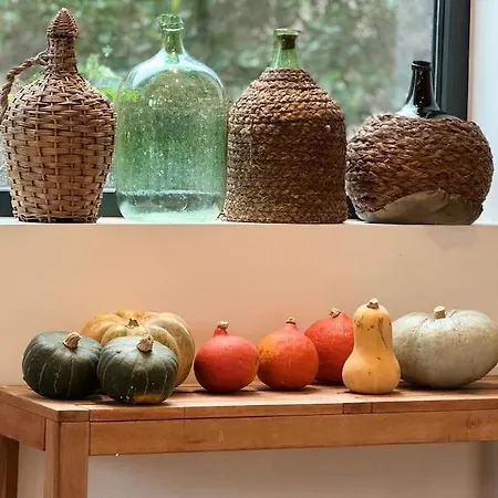 Hébergement de vacances Le Refuge Du 55 Epfig