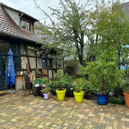 Le Refuge Du 55 Epfig