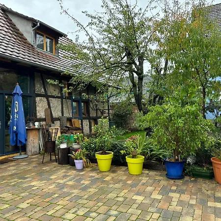 Le Refuge Du 55 * Epfig