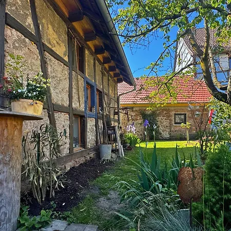 Le Refuge Du 55 Epfig