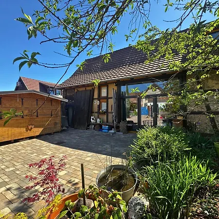 Le Refuge Du 55 Epfig