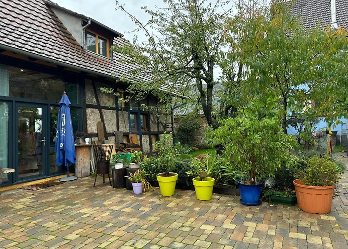 Le Refuge Du 55 * Epfig