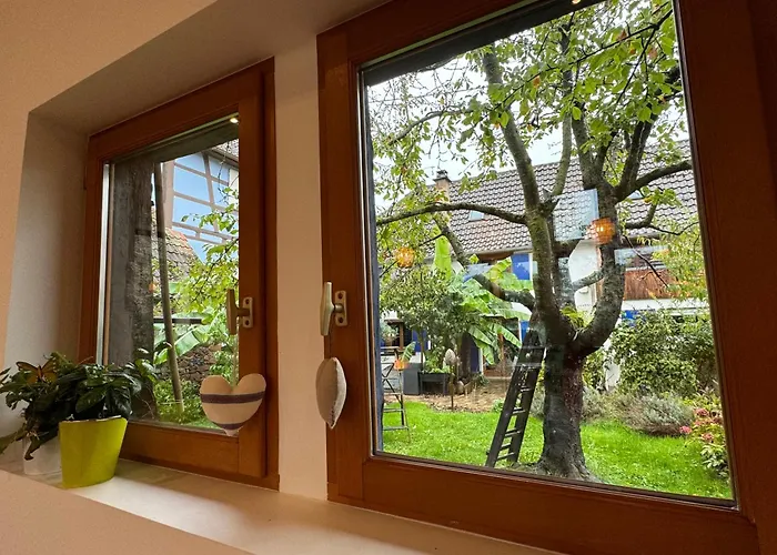 Le Refuge Du 55 Vakantiehuis Epfig